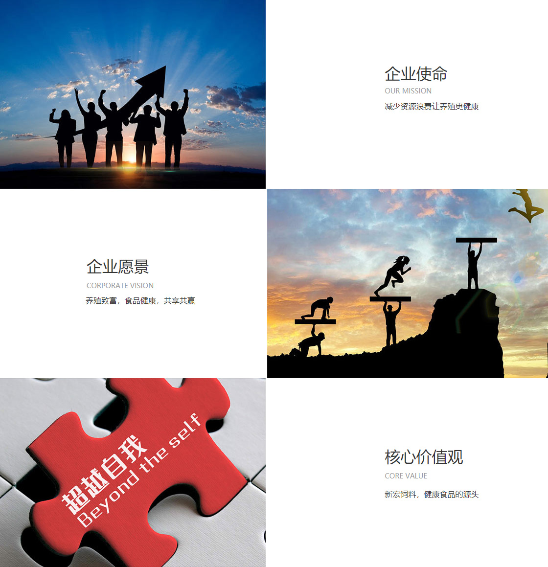 彩神彩票(图1)